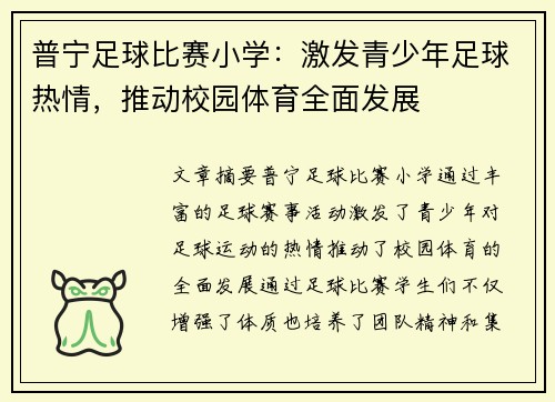 普宁足球比赛小学：激发青少年足球热情，推动校园体育全面发展