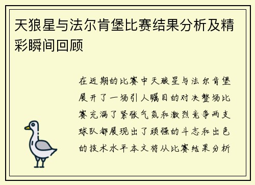天狼星与法尔肯堡比赛结果分析及精彩瞬间回顾
